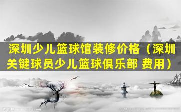 深圳少儿篮球馆装修价格（深圳关键球员少儿篮球俱乐部 费用）